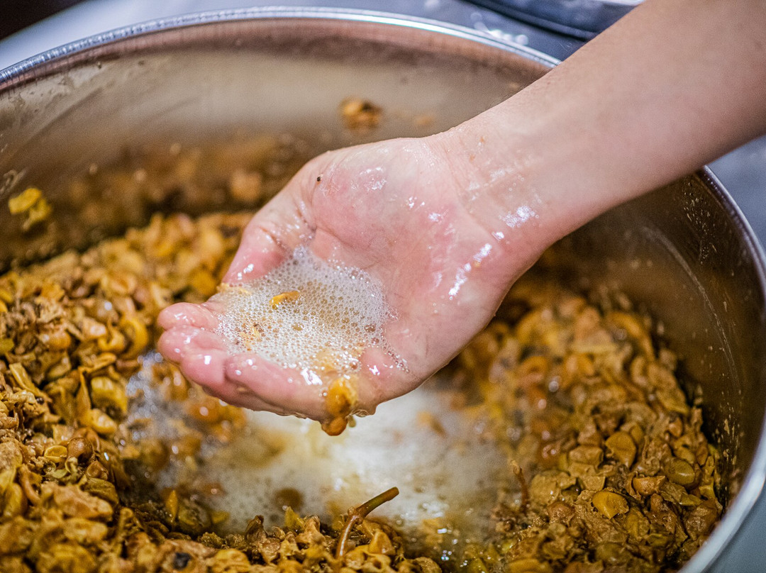 Kellerei Cantina Heiner.-博尔扎诺必去景点