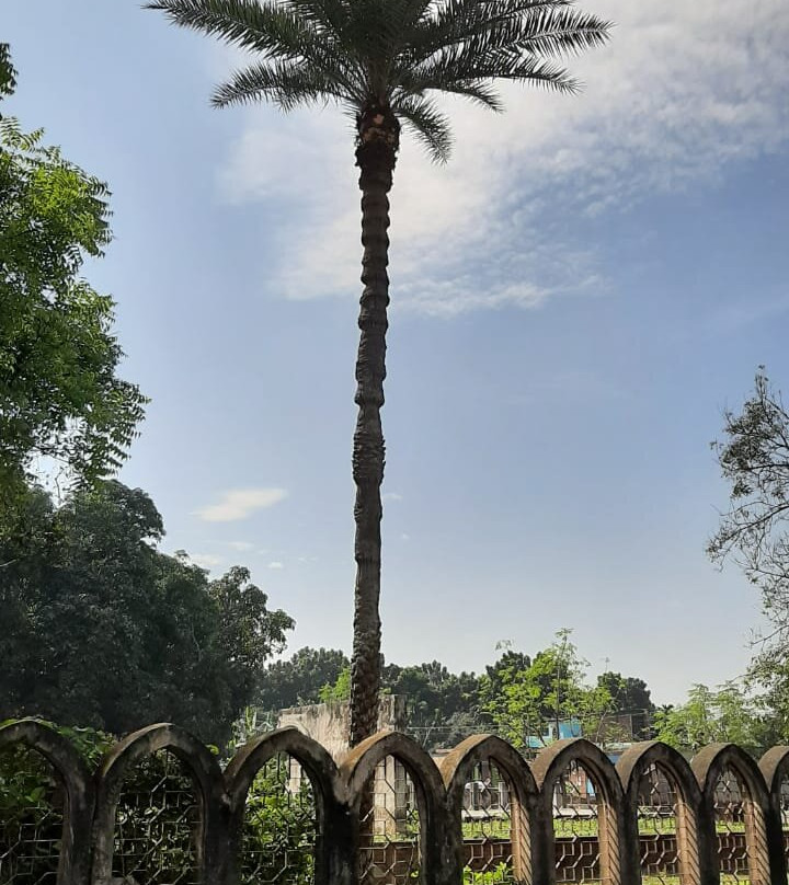 Chhoto Sona Mosque-Rajshahi City必去景点