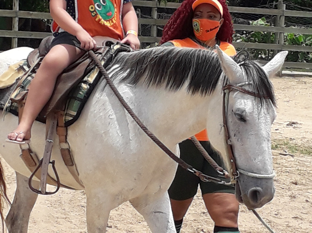 Tauá Resort & Convention Caeté主图