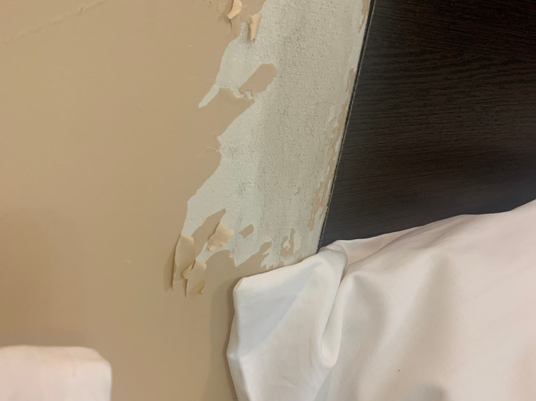 Park Hotel Uyut主图