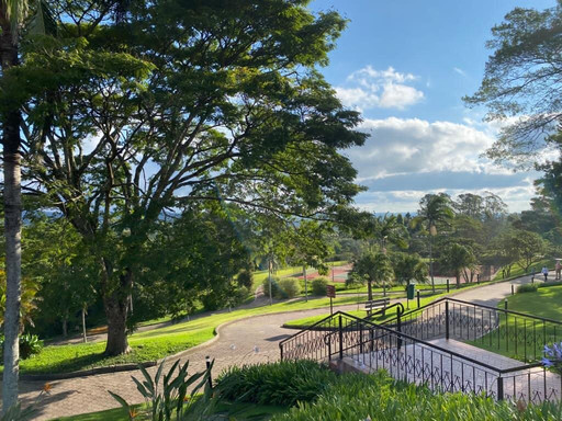 Hotel Villa Rossa主图