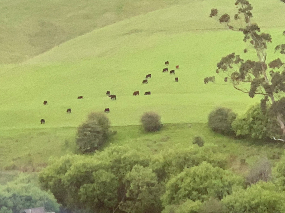 Ashdowns of Dover Boutique B&B主图