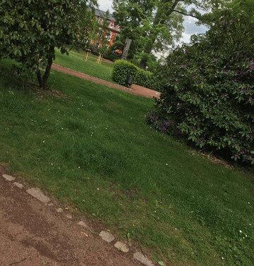 Stadtpark - mestský park