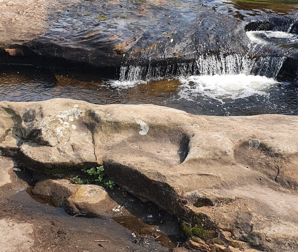 Capão da Onça-Ponta Grossa必去景点