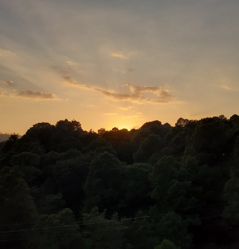 Mastiff Hotel Gopalpur主图