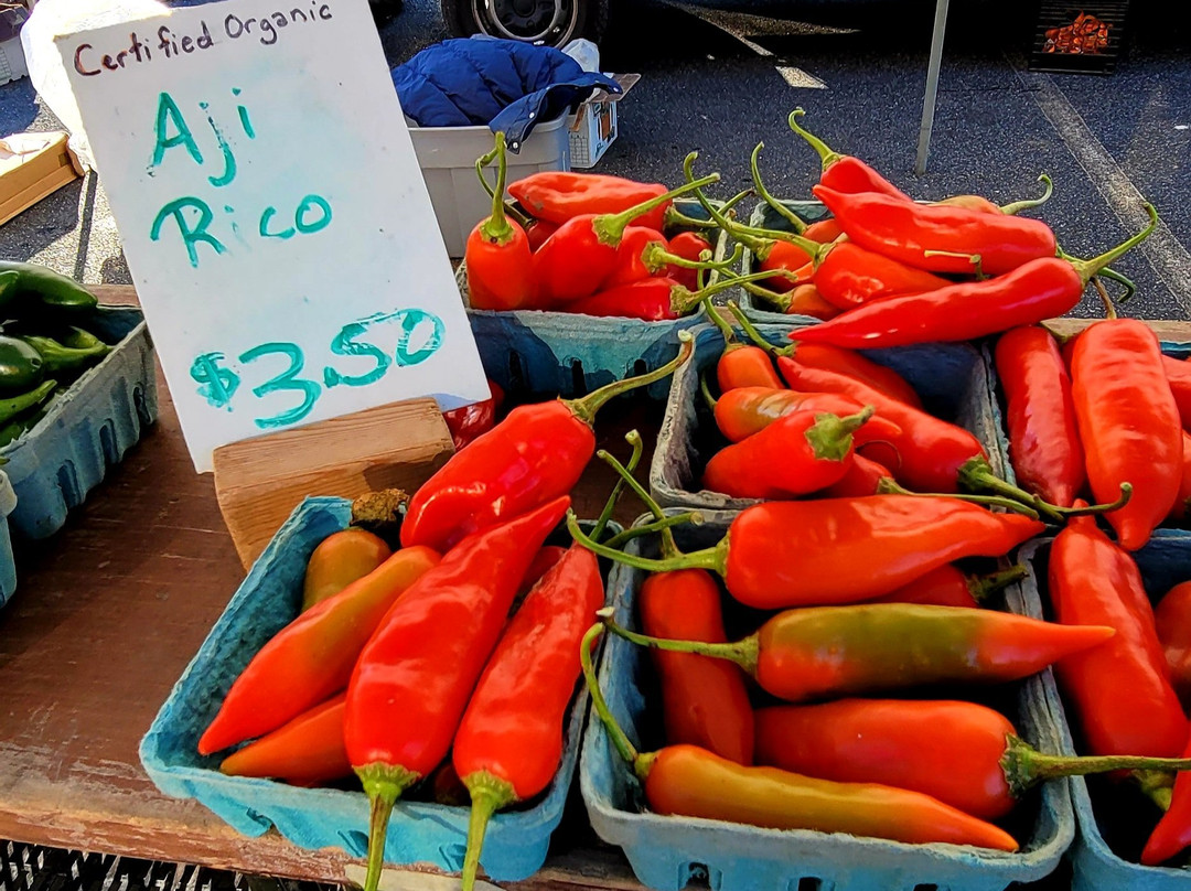 Bel Air Farmers' Market-Bel Air必去景点