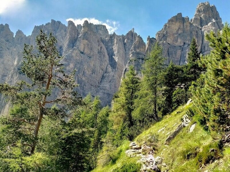 Alta Via delle Dolomiti n. 6景点图片