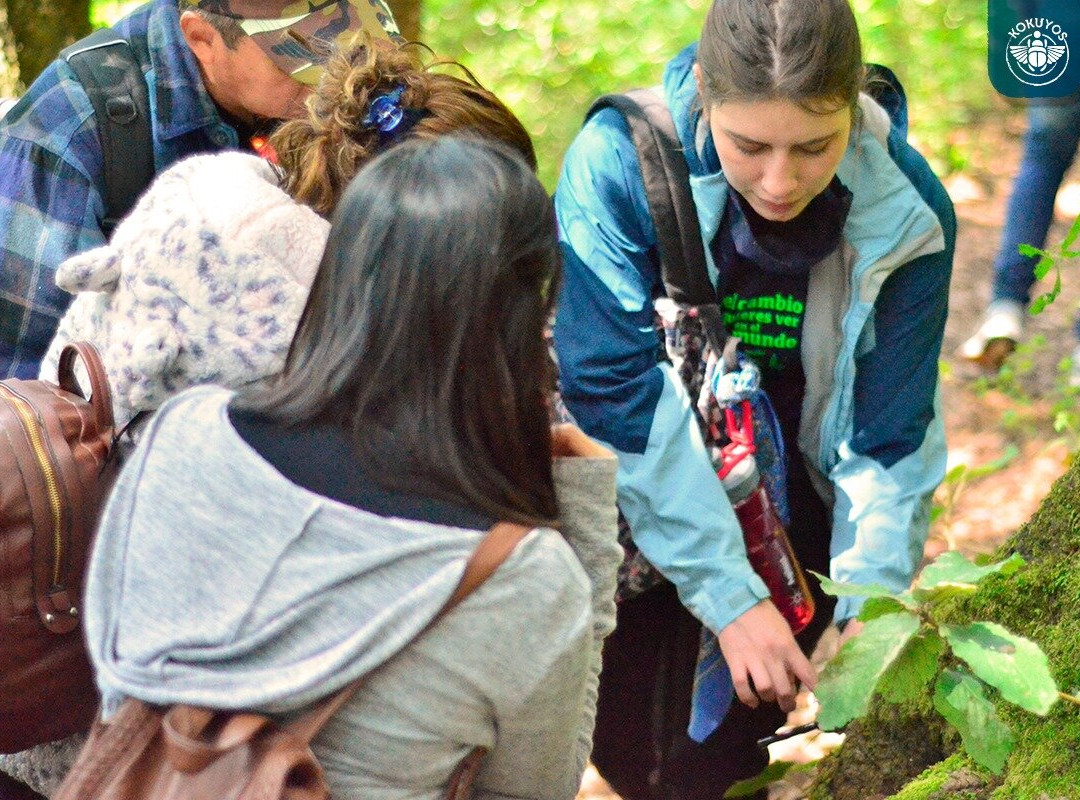 Kokuyos - Estado de México / Senderismo / Recorridos en el bosque / Campamentos-Naucalpan必去景点