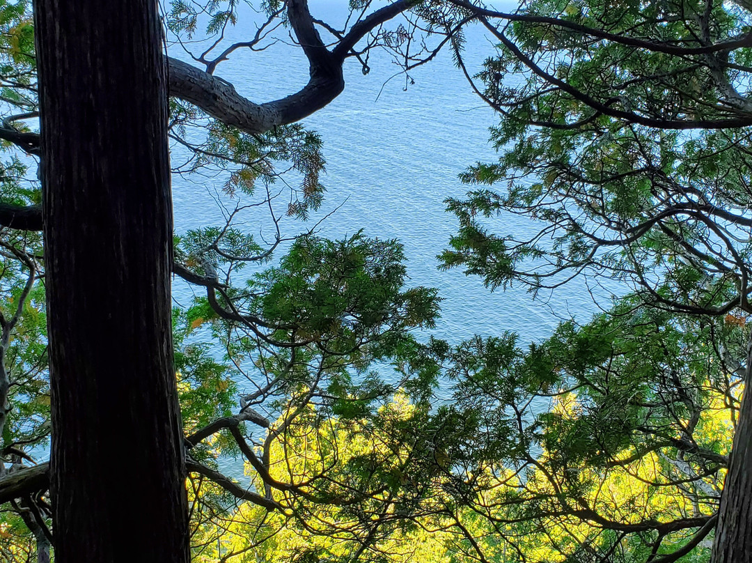 Door Bluff Headland’s County Park-Ellison Bay必去景点