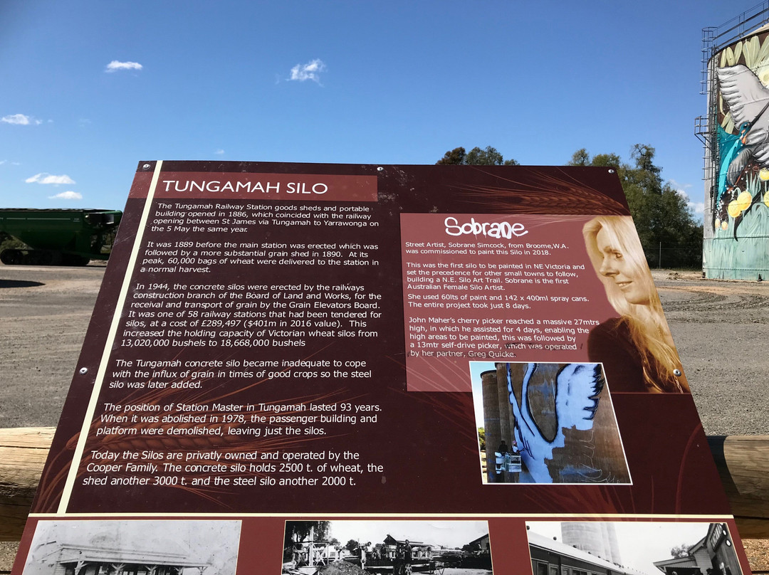 Tungamah Silo Art-Tungamah必去景点