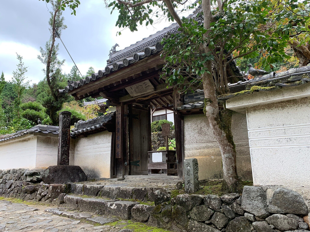 Genpinan-樱井市必去景点