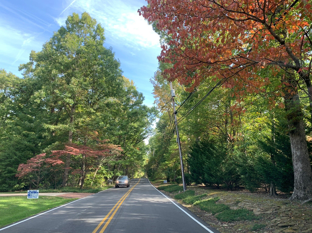 Falling Water Falls-Signal Mountain必去景点
