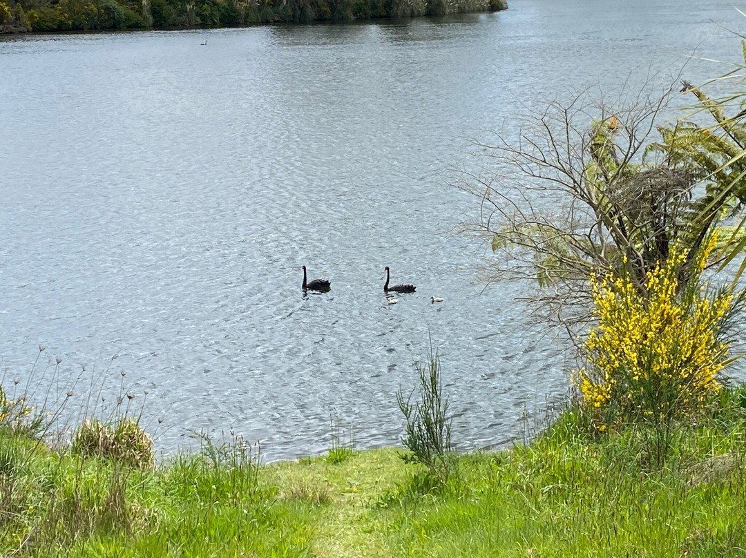 Waikato River Trails-普塔鲁鲁必去景点