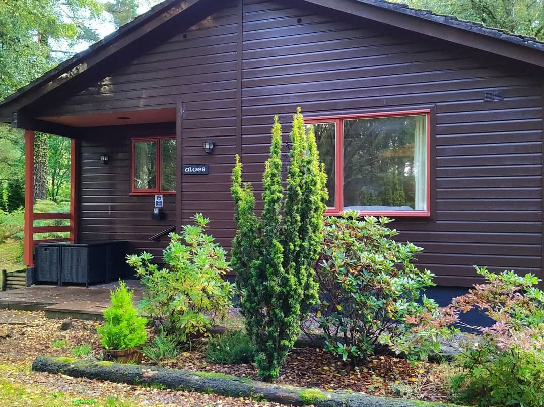 Rafford旅游攻略图片