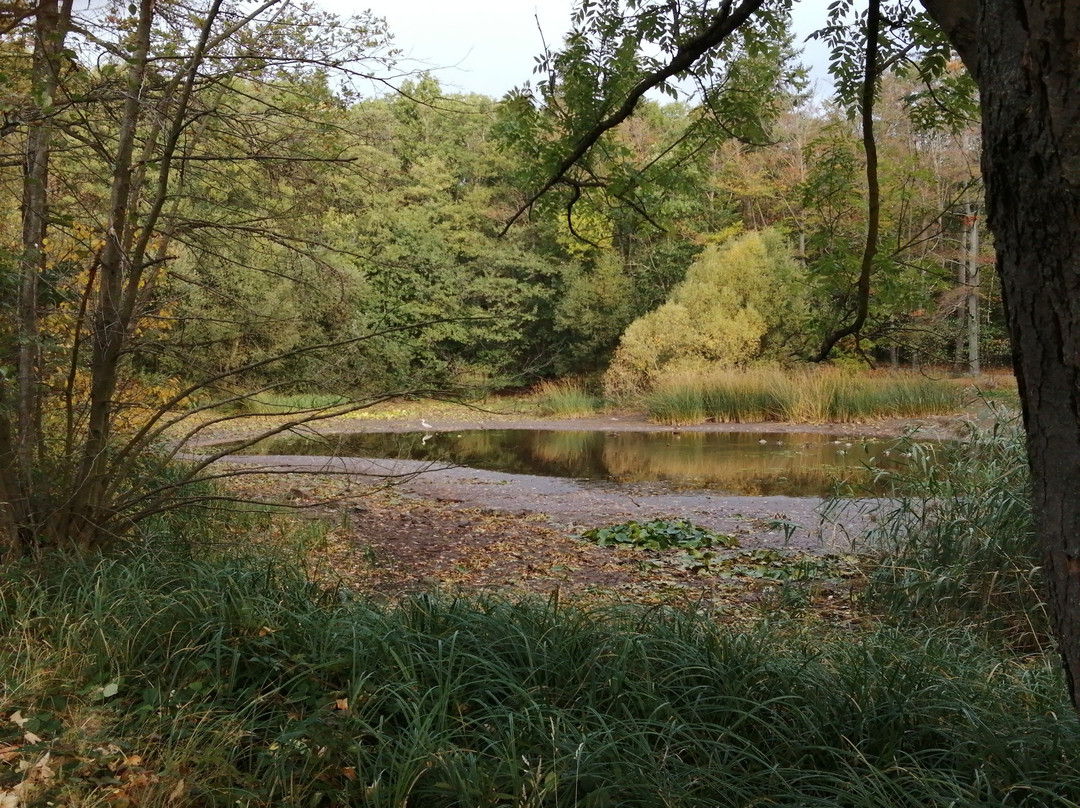 Landhaus Tonmuhle主图