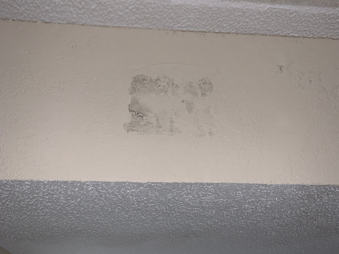 Red Roof Inn Tupelo主图