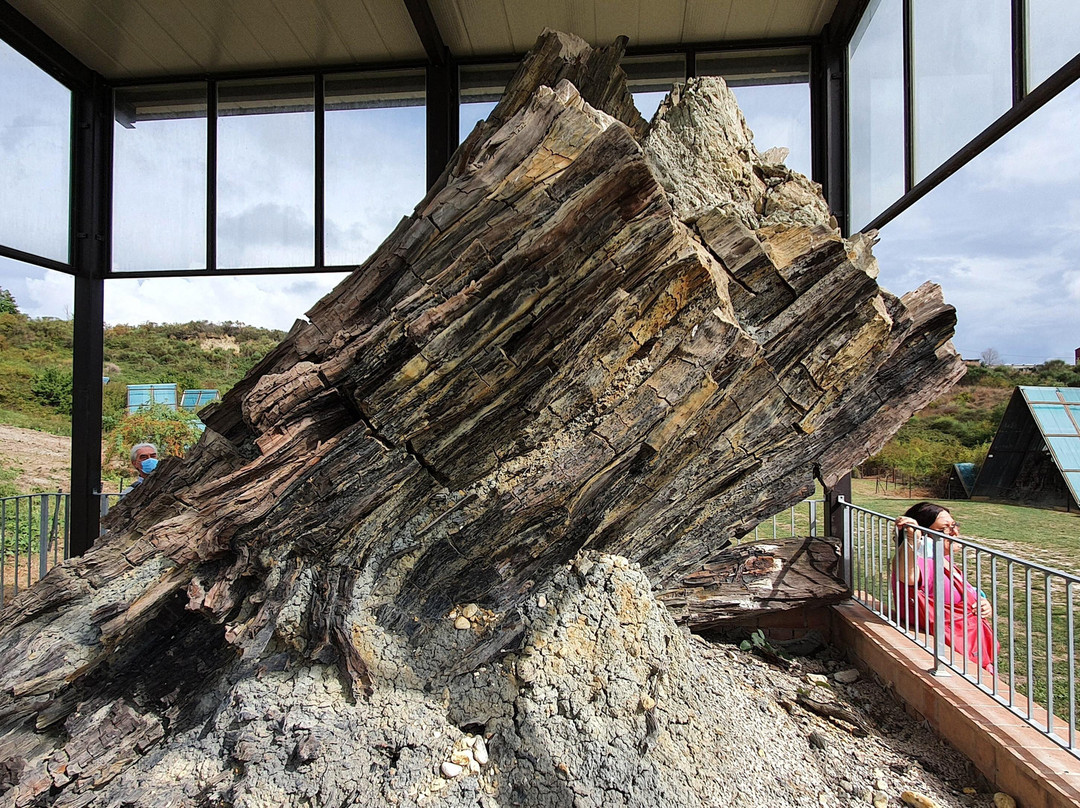 Foresta Fossile-Avigliano Umbro必去景点