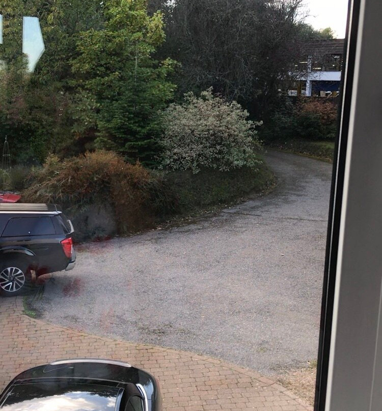 夏田楼酒店主图