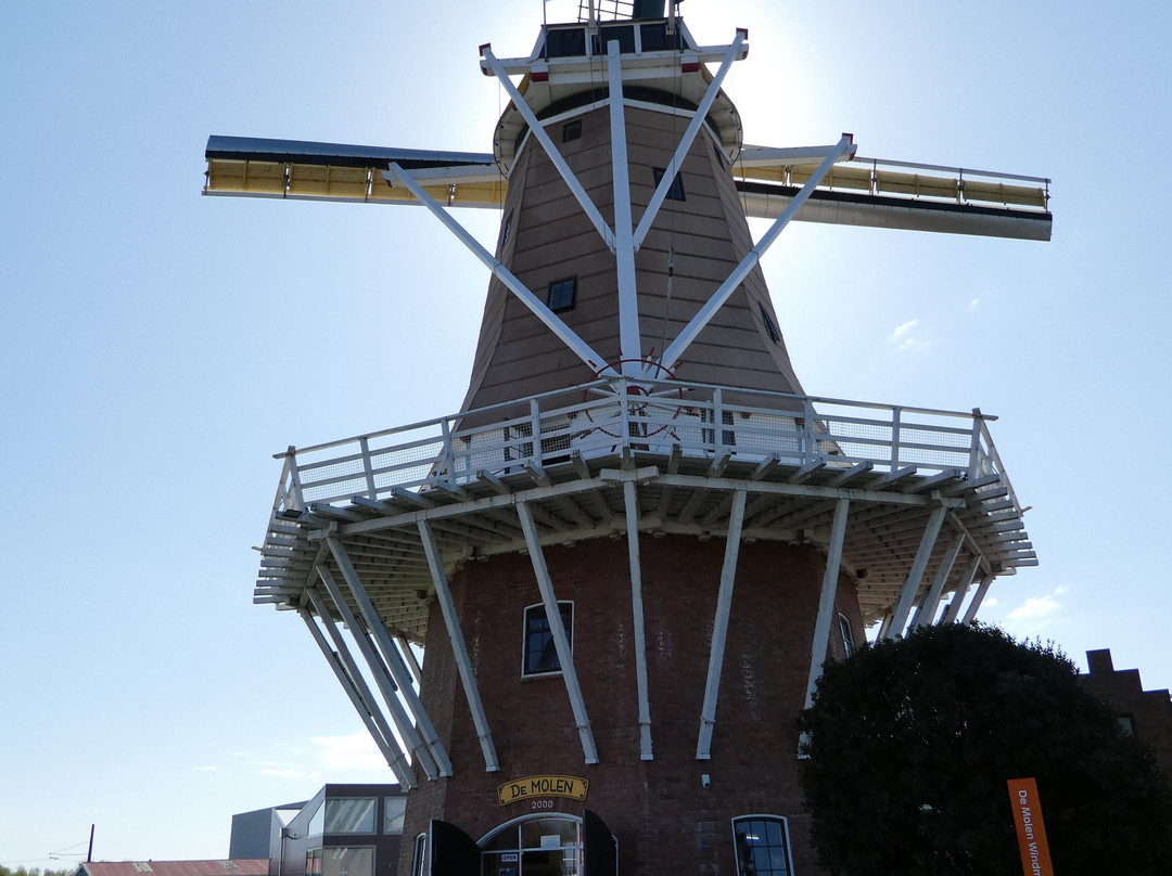 De Molen, Windmill景点图片