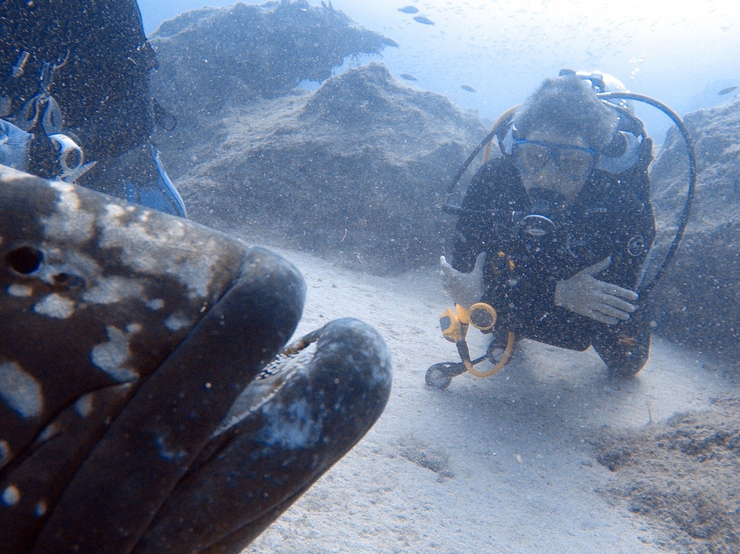Nautilus Diving-卡斯必去景点