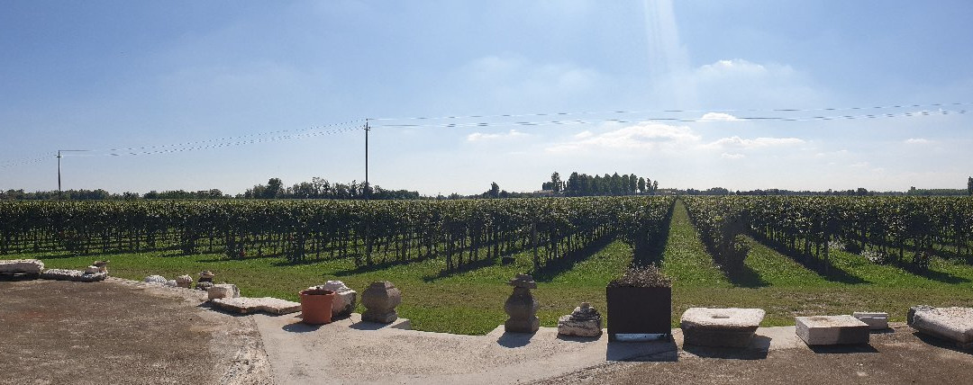 Fioravanti Onesti - Vini dal 1808-San Biagio di Callalta必去景点