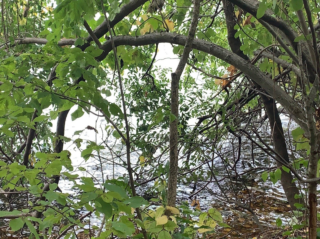 George C. Waldo State Park-绍斯伯里必去景点