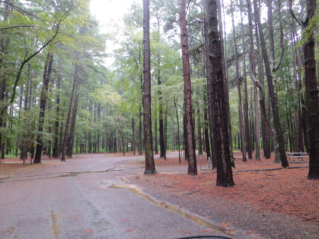 Atlanta State Park-Atlanta必去景点