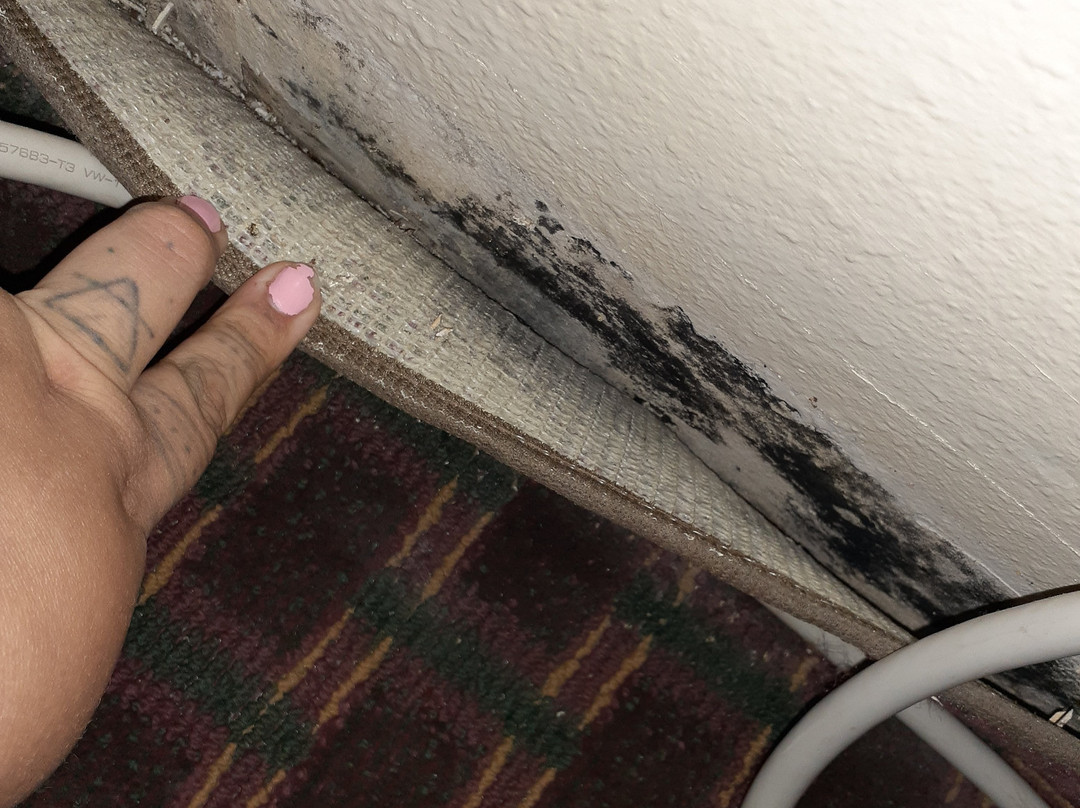 GuestHouse Inn Fort Smith主图