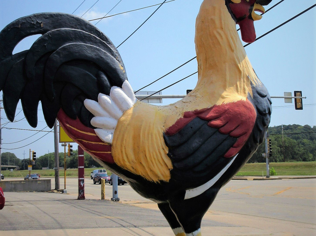 Rooster in a Top Hat-East Peoria必去景点