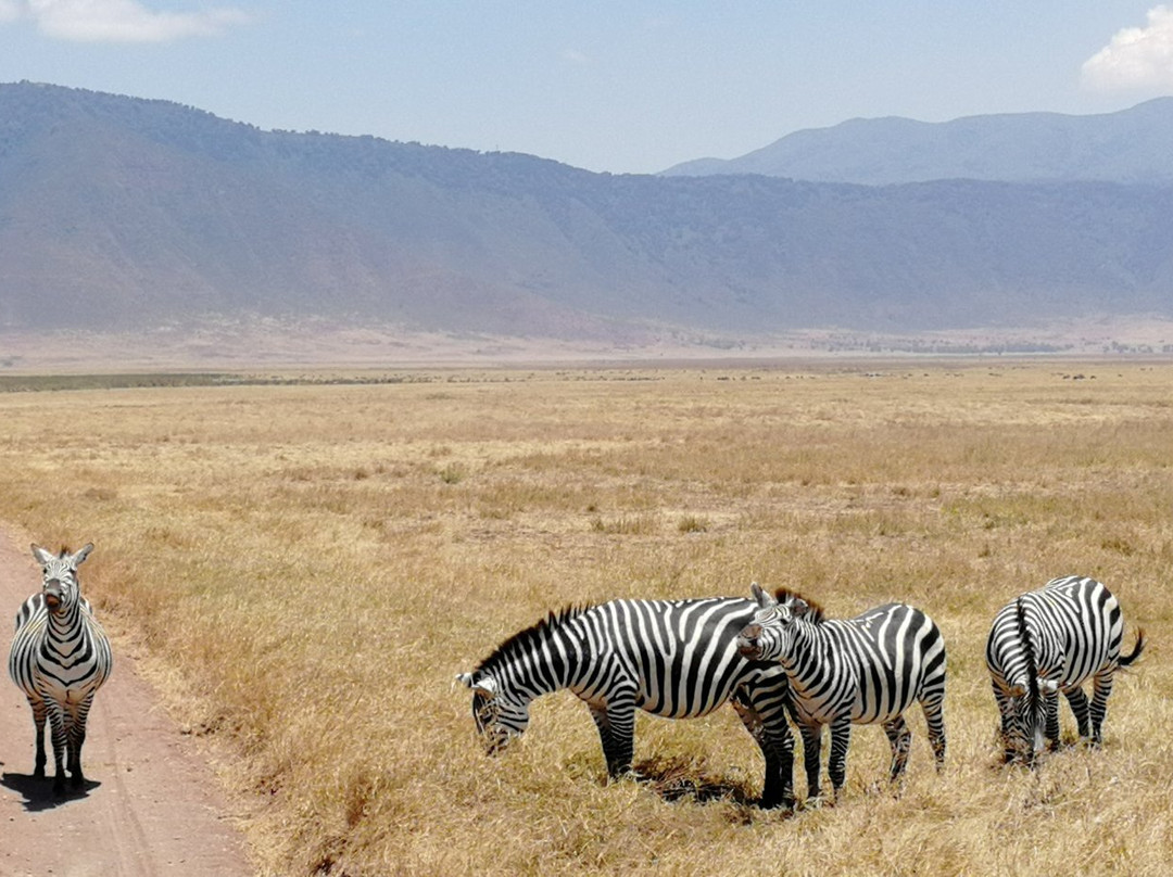 Ngurdoto Crater-阿鲁沙必去景点