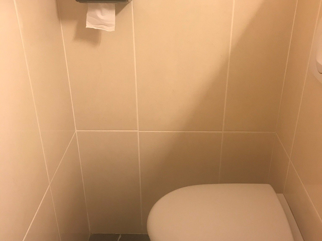 B&B HOTEL Auray Carnac主图
