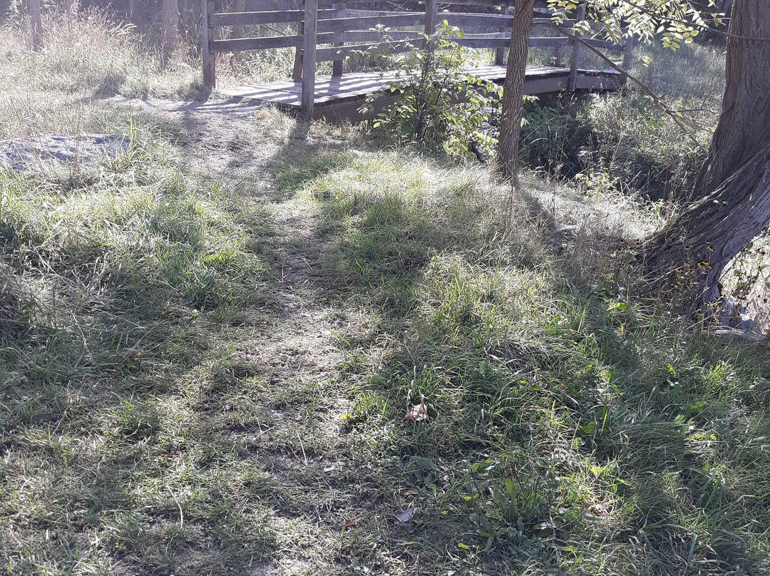 Mulholland Wildflower Preserve-伊萨卡必去景点