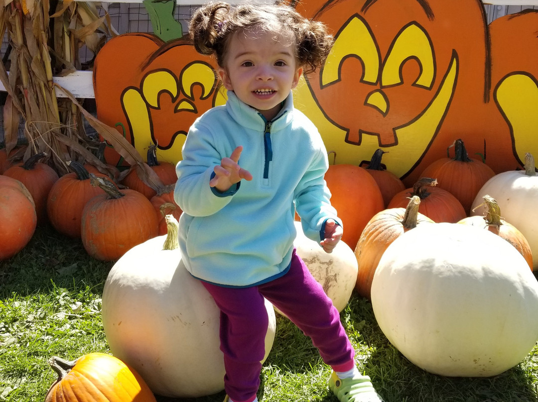 Sonny Acres Farm-West Chicago必去景点