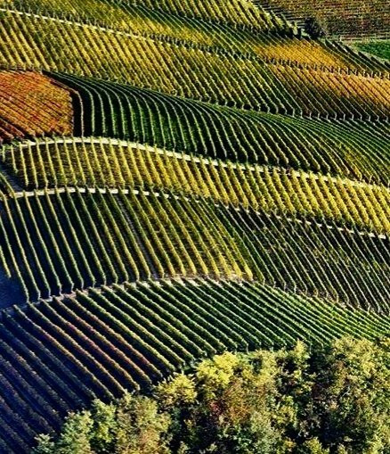 Colline delle Langhe Patrimonio Unesco-Province of Asti必去景点