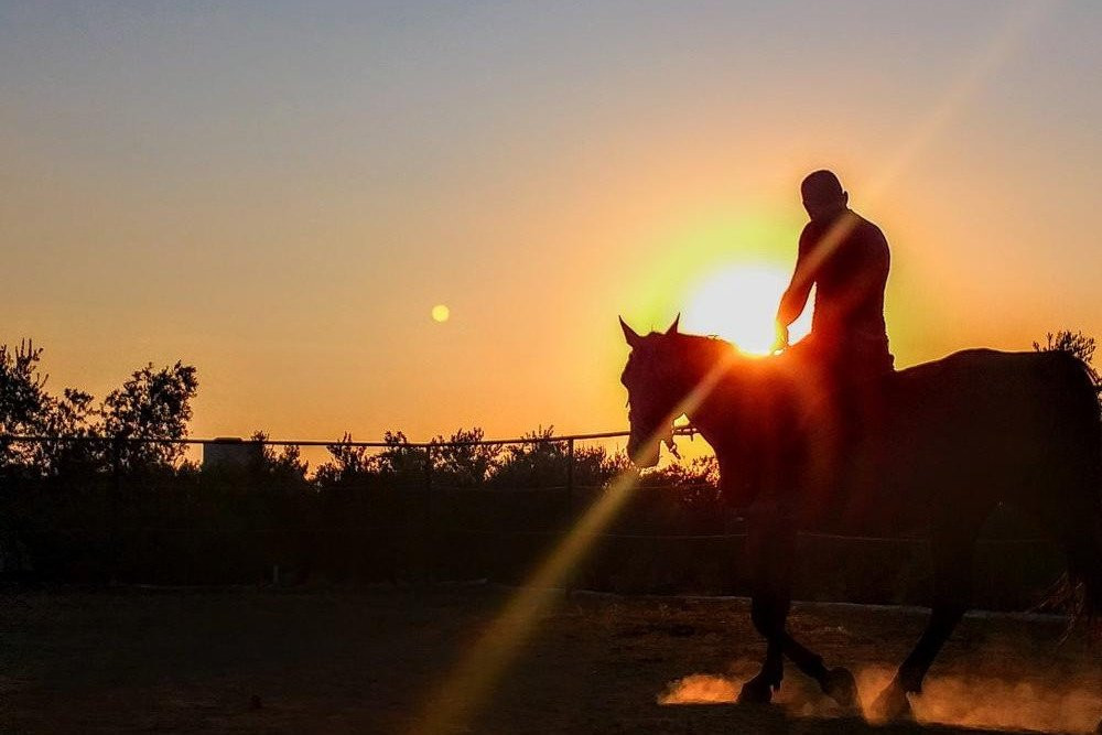 Mani Horses景点图片