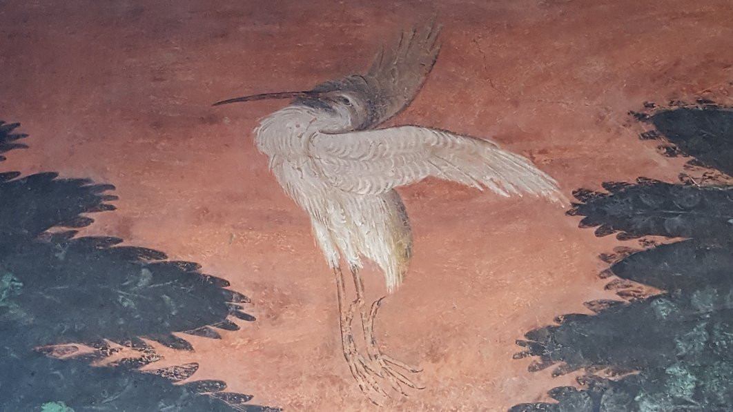 Museo Arte Plastica景点图片