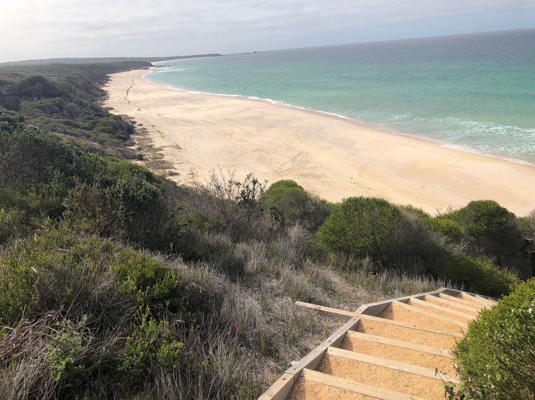 Pinnacles Beach-伊登港必去景点