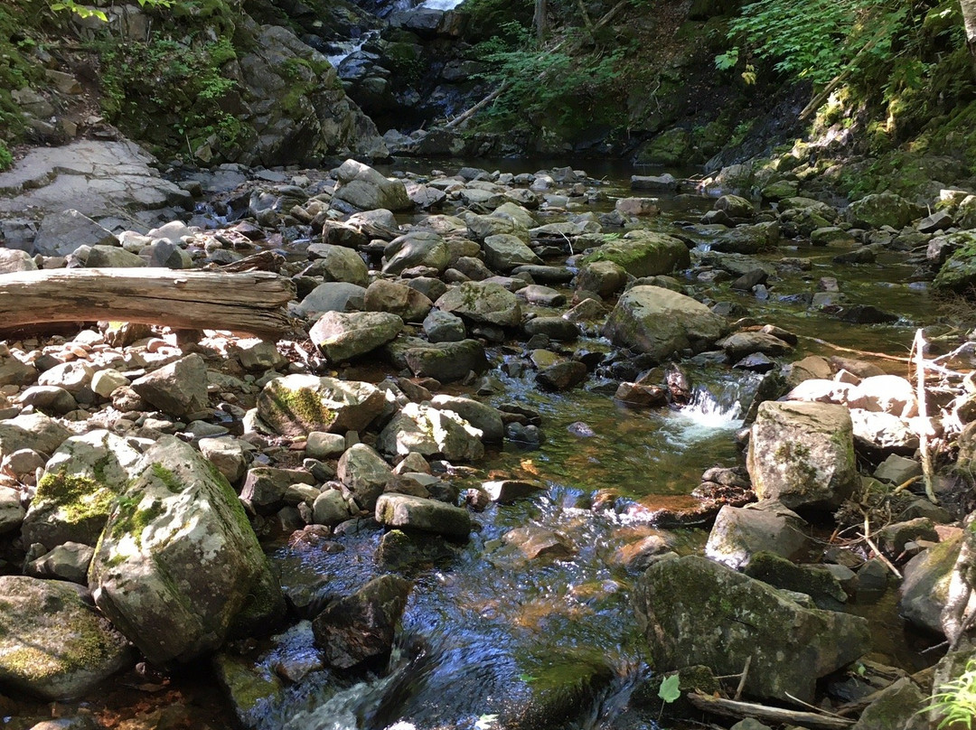 MacIntosh Brook Trail-Pleasant Bay必去景点
