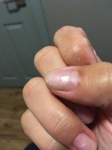 Mountain Galleries Fairmont Jasper Park Lodge-贾斯珀必去景点