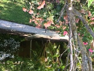 烟角度假酒店主图