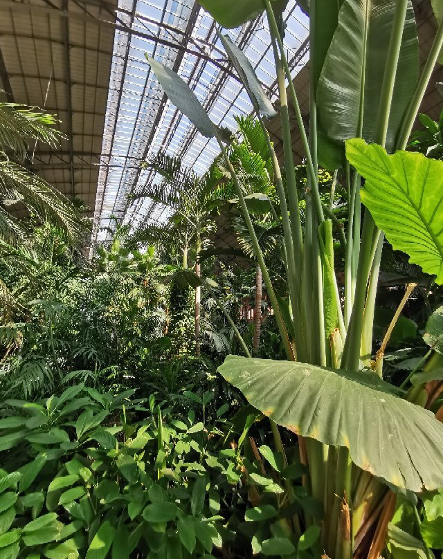 Jardin Botanico de Torretes景点图片
