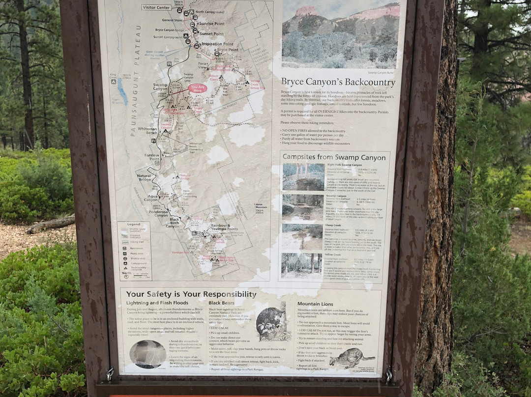 Swamp Canyon-布莱斯峡谷国家公园必去景点