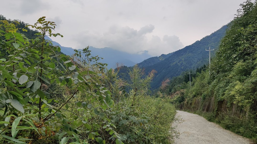 龙池森林公园-都江堰市必去景点