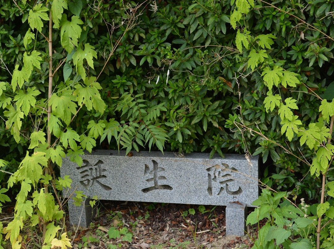 Tanjoin-日高町必去景点