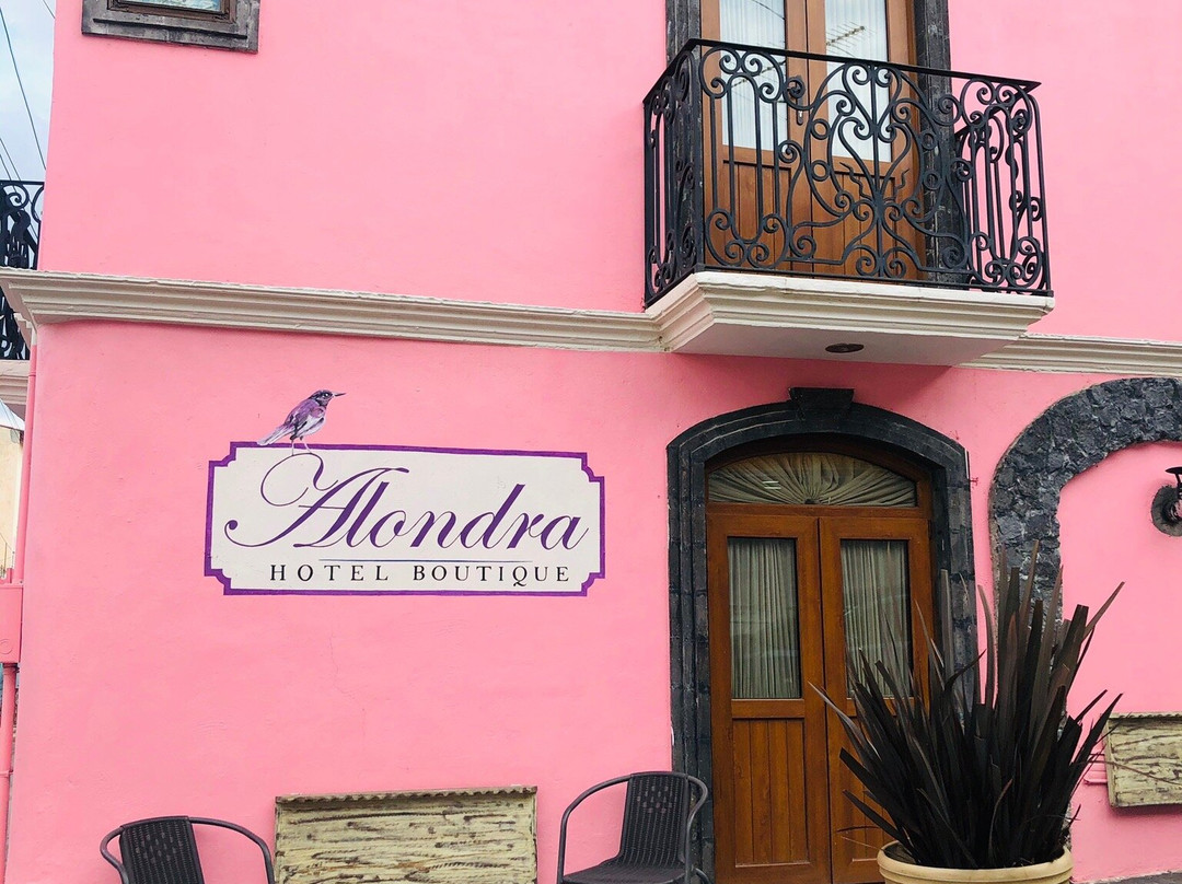 Alondra Hotel Boutique主图