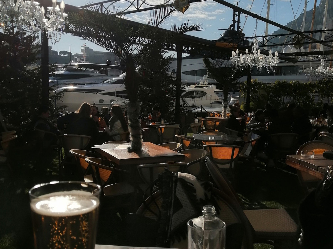 Port Hercule-蒙特卡洛必去景点