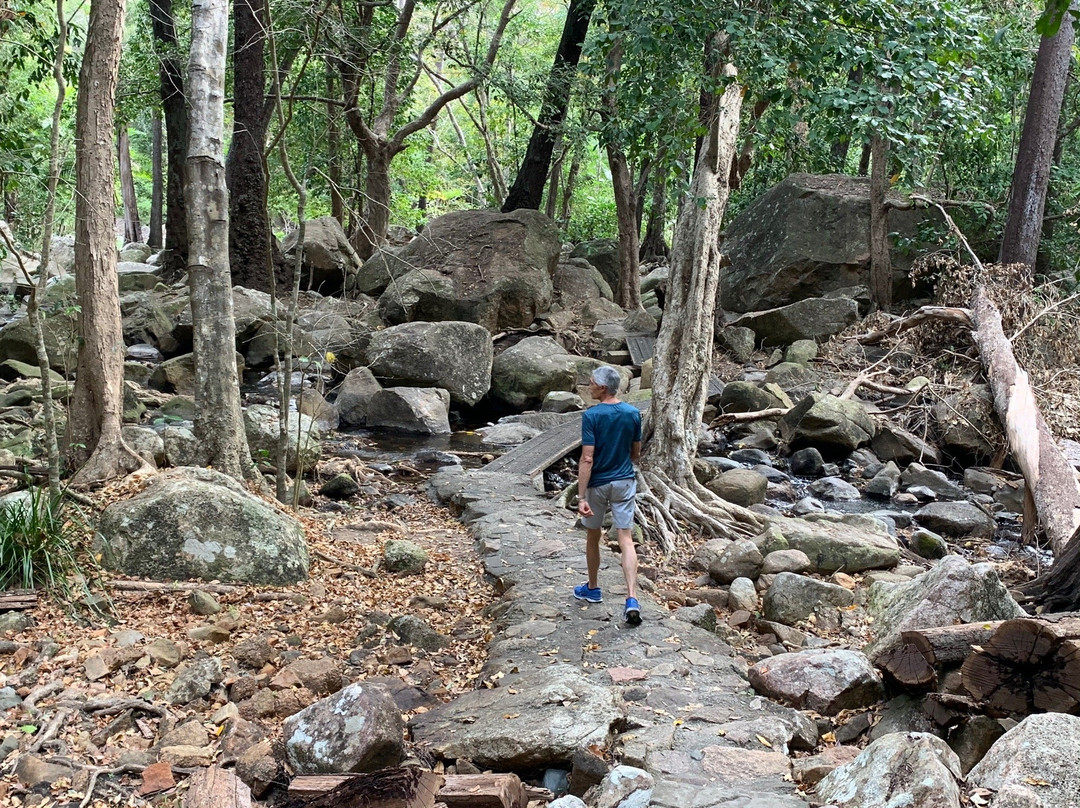 Jourama Falls-Ingham必去景点
