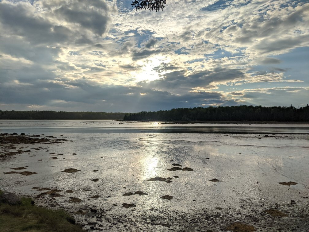 Harrington旅游攻略图片