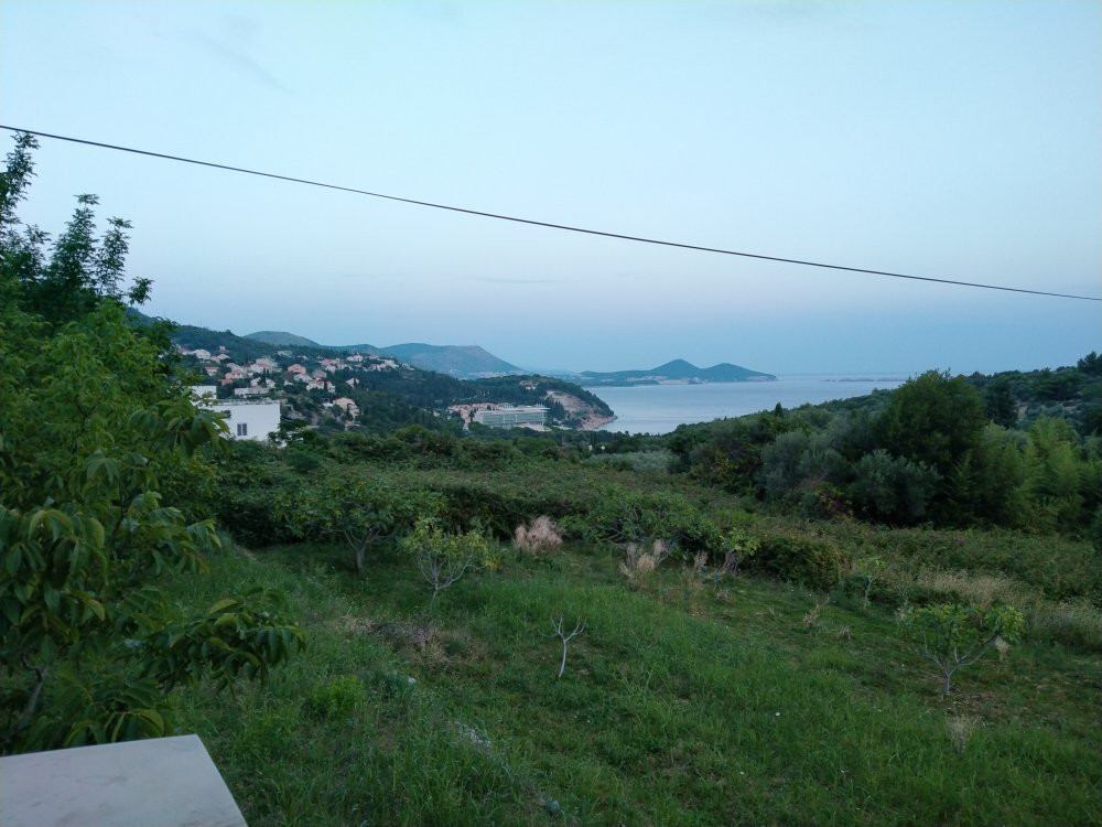 Platan Bar景点图片