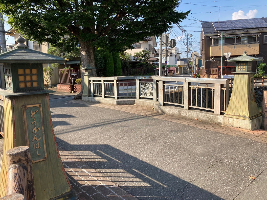 Shingashi River Cherry Blossoms-川越市必去景点